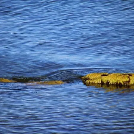 With 3 Bedrooms Dranske