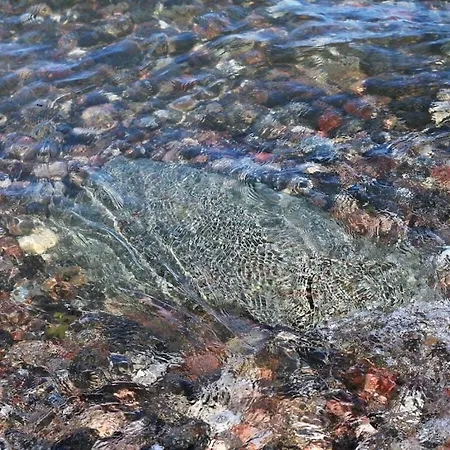 Tatil Evi With 3 Bedrooms *