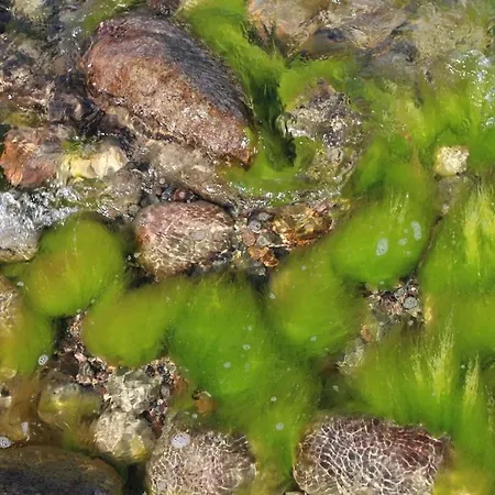 With 3 Bedrooms Tatil Evi